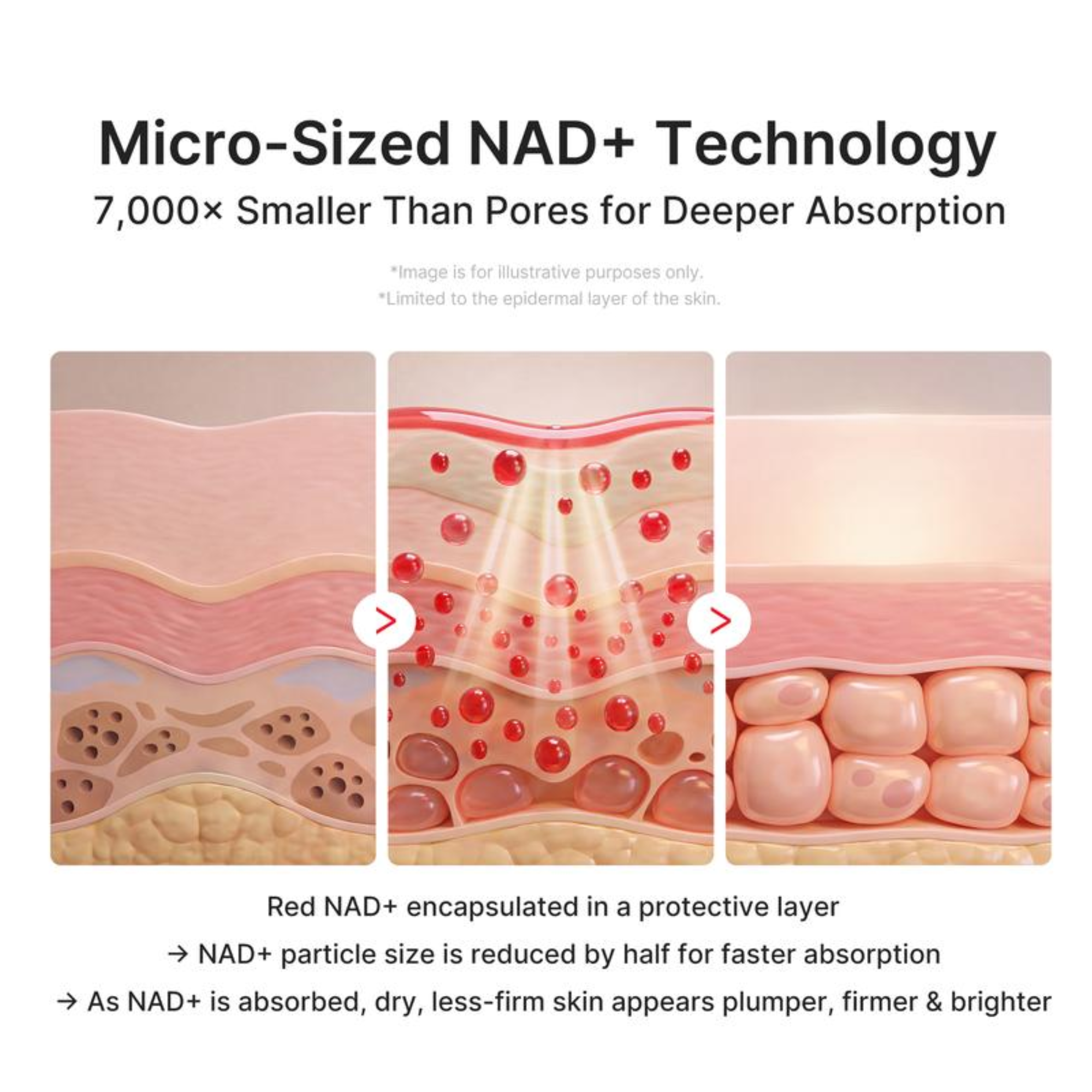 NAD+ Collagen Firming Stick for Firmer, Youthful Looking Skin